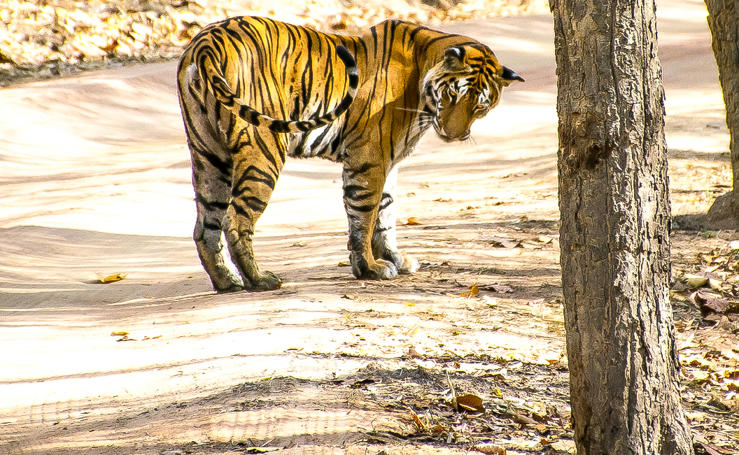 Webdesign Service - Website maken - background staand 480