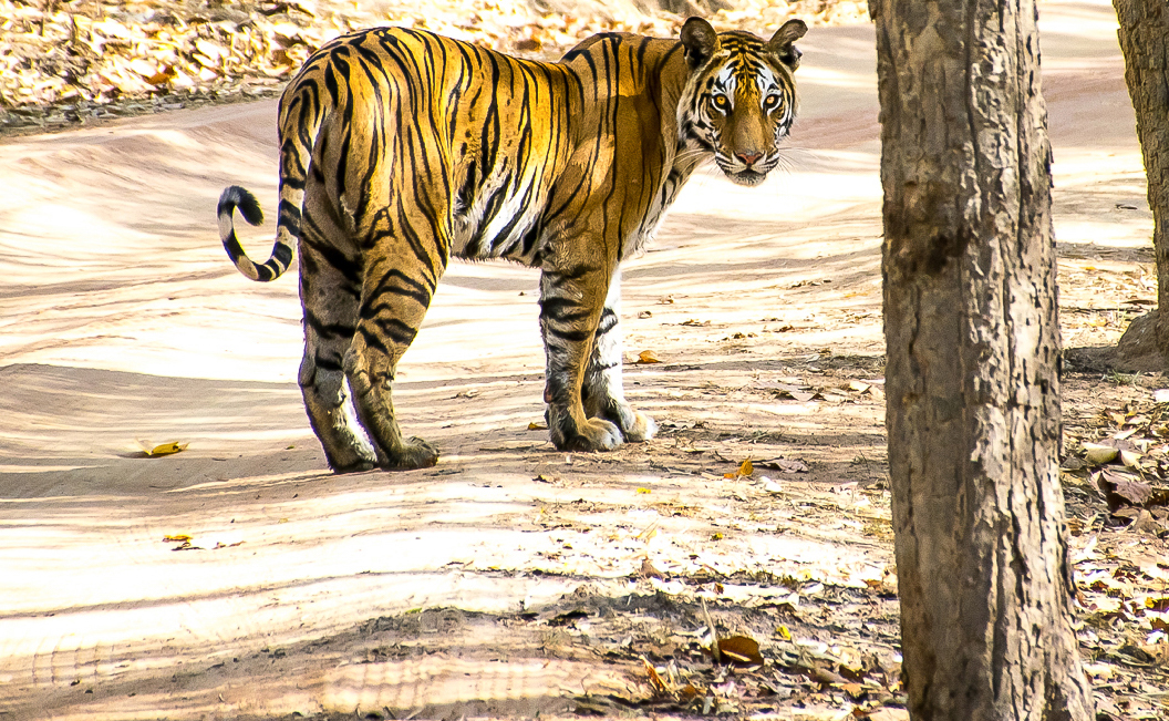 Webdesign Service - Website maken - background staand2 480