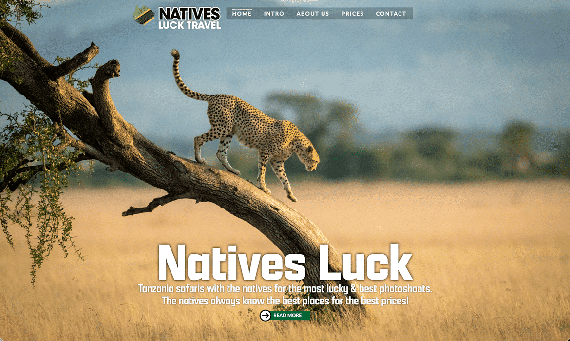 Cheetah walking along a tree limb in a savanna; Natives Luck Travel branding and navigation appear in the top left.