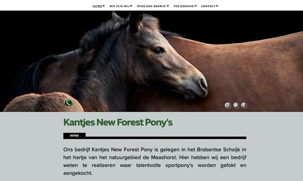 Webdesign voor Kantjes New Forest Pony's