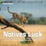 Webdesign voor Natives Luck Travel Tanzania