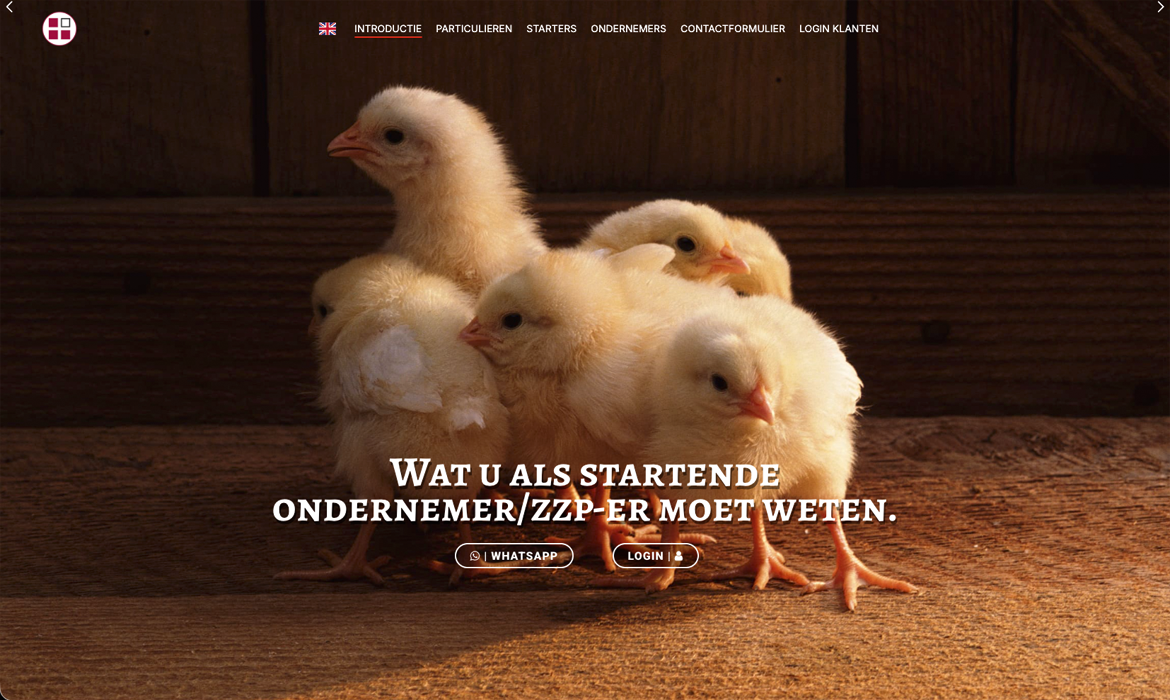 Cover2 Fiscaalburo Benny van den Brink - Webdesign Maastricht – Responsive en SEO-proof websites op maat Group of fluffy yellow chicks huddled together on a wooden barn floor, used as a hero banner for a startup website.