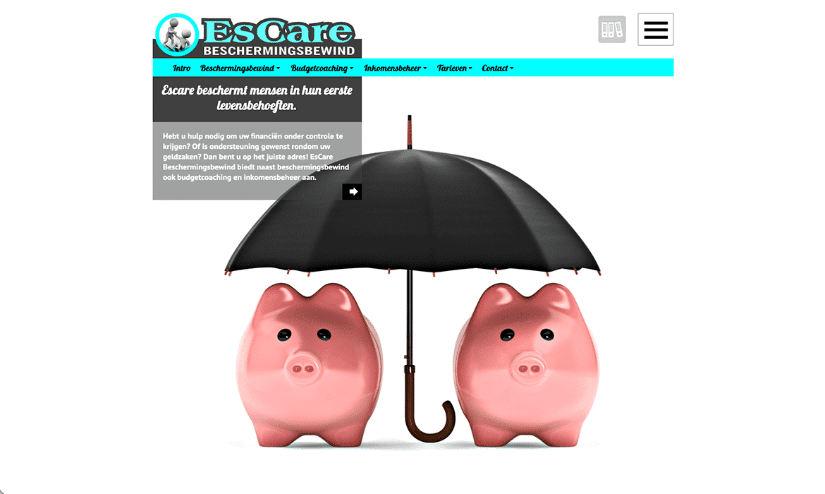 Savings protection concept: two pink piggy banks sheltered by a large umbrella.