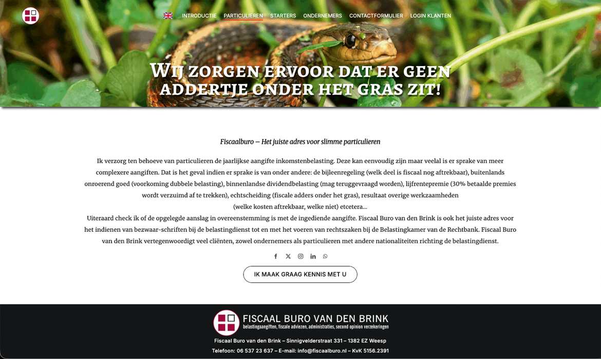 Particulieren Fiscaalburo Benny van den Brink - Webdesign Maastricht – Responsive en SEO-proof websites op maat Dutch-language hero image: a snake among green grass with bold white slogan overlay about avoiding hidden dangers in the grass on a website banner